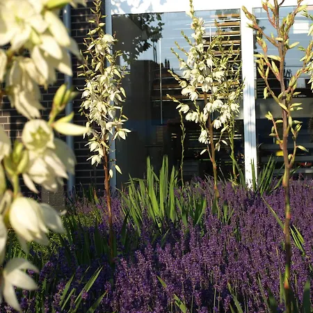 Q.c.m. Campus بلب