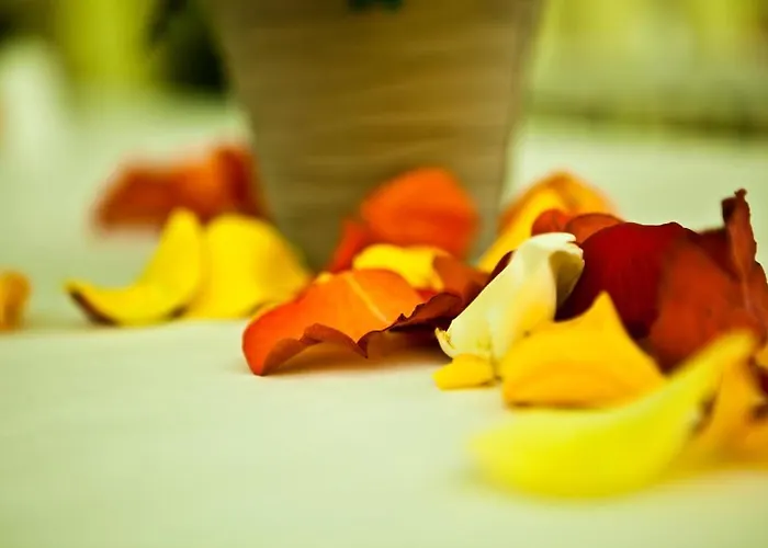 فندق Q.c.m. Campus بلب