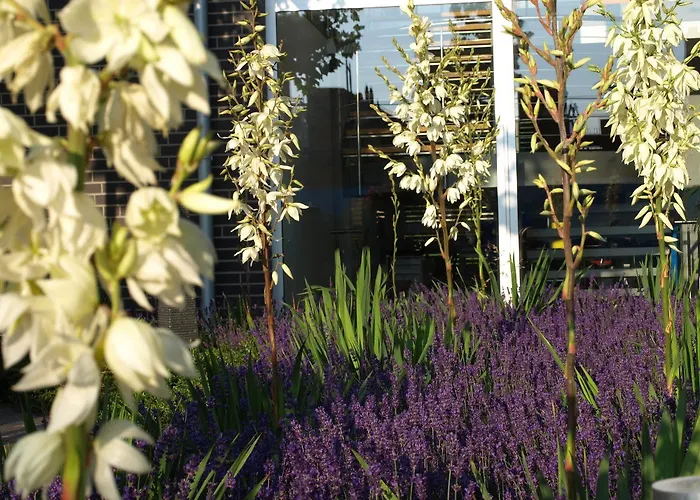 Q.c.m. Campus بلب