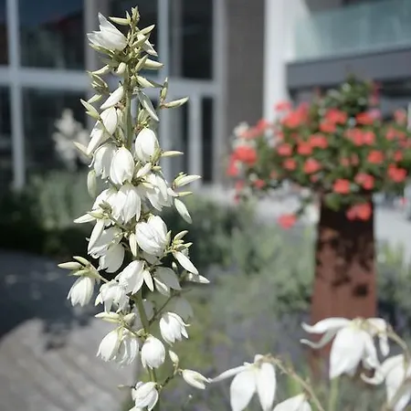 Q.c.m. Campus Отель